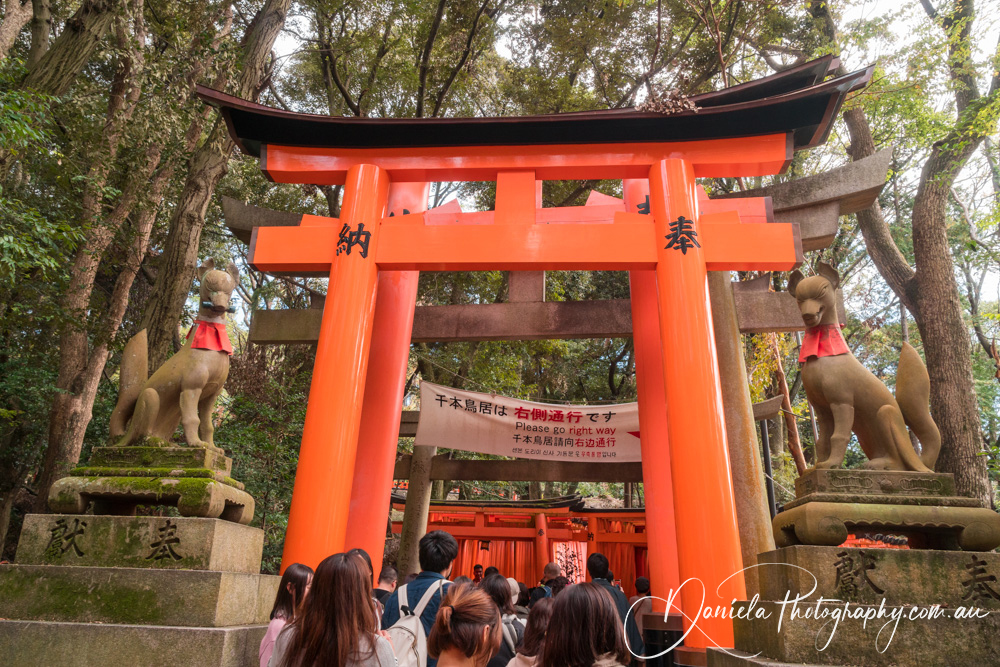 Kyoto People visit Senbon Torii (Thousand Torii Gates) Fushimi Inari Shrine